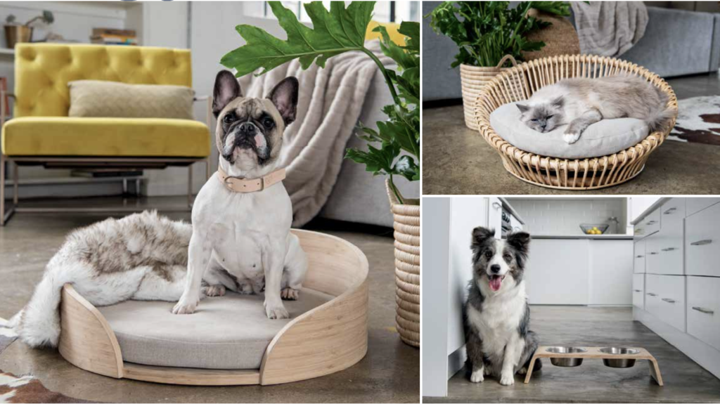 Pet Owners’ Guide: Decor That’s Both Stylish and Functional